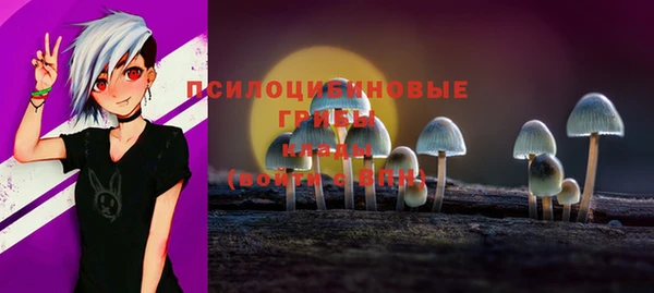 метамфетамин Алексеевка