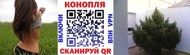 МАРИХУАНА семена нарко площадка клад Жуков
